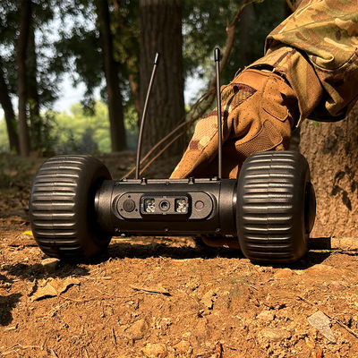 Light Weight Miniature Reconnaissance Robot for Monitoring Tasks